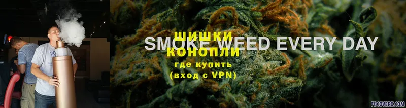 Марихуана SATIVA & INDICA  Петровск 